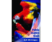 �N�T�R� T�MB PAPAG�J A/5