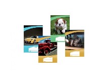 F�ZET OFFICE VONALAS  2.O.