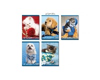 BLASETTI F�ZET A/5