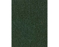 NORTHERN WORSTED 00823