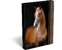 F�ZETBOX A/5 LIZZY GEO HORSE